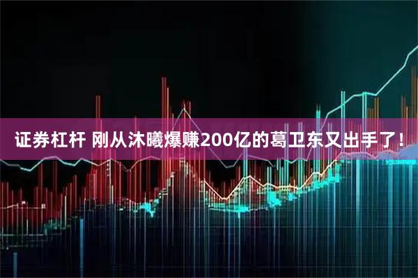 证券杠杆 刚从沐曦爆赚200亿的葛卫东又出手了！